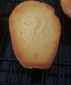 USA Pan Bakeware Madeleine Pan, 16-Well, Aluminized Steel 41 71d4UsVLI3L