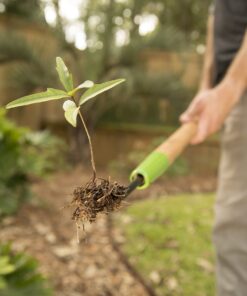 Alternative view of AMES 2942100 Forged Dandelion Weeder with Hardwood Handle