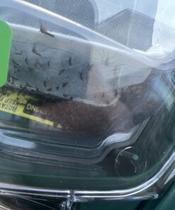 Mosquito Magnet MM3300B Executive Mosquito Trap and Killer - Protect Up to 1 Acre - Attract, Trap and Kill Mosquitoes and Other Flying Insects 26 71d8cJczY L