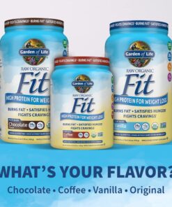 Garden of Life Raw Organic Fit Vegan Protein Powder Chocolate, 28g Plant Based Protein for Weight Loss, Pea Protein, Fiber, Probiotics, Dairy Free Nutritional Shake for Women and Men, 10 Servings 16.04 Ounce (Pack of 1) 17 71dA9i TS3L