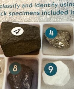 STEM Toy Mineral Science Kit Geology Rock Specimen for Young Geologists 12 71dB5Q9HaVL