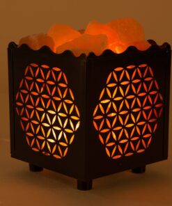 CRYSTAL DECOR Himalayan Pink Salt Lamp Basket & Dimmer Cord Bulb Flower 23 71dBijdGQlL