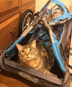 Instep Bike Trailer for Toddlers, Kids, Single and Double Seat, 2-In-1 Canopy Carrier, Multiple Colors Blue Single Seat 30 71dCYlj9NBL