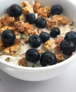 Julian Bakery® ProGranola® Cereal | Vanilla Cinnamon | 12g Protein | Paleo | 2 Net Carbs | Gluten-Free | Grain-Free | 15 Servings 1.22 Pound (Pack of 1) 26 71dCl4FZaL