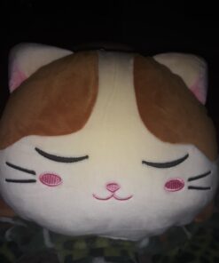 Vintoys Very Soft Cat Big Hugging Pillow Plush Kitten Kitty Stuffed Animals Brown 23.5" 24 71dDd2NsyeL