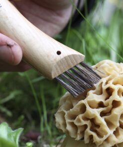 Opinel No. 08 Mushroom Knife – Pick + Clean Mushrooms, Beechwood Handle, Integrated Brush, Curved Sandvik Steel Blade, Made in France 27 71dFM3DDL