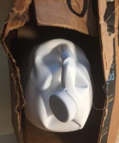 Flo-Kem 5195 Flo-Zyme Commercial Bio-Enzyme Drain Opener/Deoderizer with Pleasant Scent, 1 Gallon Bottle, Milky White 9 71dHV5b5kL