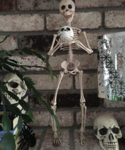 Prextex Skeleton Halloween & Day of The Dead Decoration for Home and Office - 19 Inch Posable Plastic Small Skeleton Toy Halloween Décor with Movable / Bendable Joints and 2 Sets of Body Accessories 19 inches 32 71dIGVLl7DL
