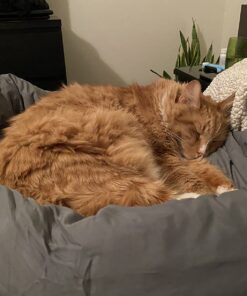 Huzi Infinity Pillow - Home Travel Soft Neck Scarf Support Sleep Grey 40 71dKvbxHthL