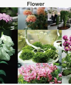 Smarson Indoor LED Light Hydroponic Garden, Grow Herbs, Vegetables and Flowers, Large, White 16 71dMiRHZD5L