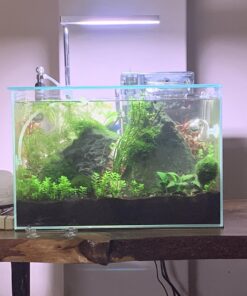 ONF Flat Nano Full Spectrum LED Aquarium Light, Dimmable 7000K / 1300lm, for <10 Gallons Rimless Fish Tanks, Freshwater Aquatic Plant Growth, Terrarium Spotlight, Potted Plant IP54 Waterproof (Silver) Silver 38 71dPa29DG8L