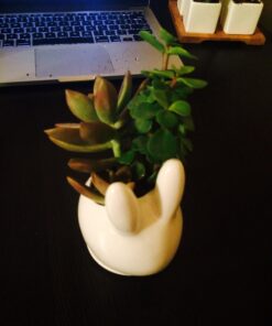 MyGift Mini Ceramic Bunny Planter, Decorative Rabbit Design White Small Flower Pot Succulent Planter with Detached Saucer 30 71dStnuC1zL