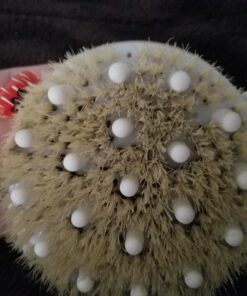 CSM Dry Body Brush for Beautiful Skin - Solid Wood Frame & Boar Hair Exfoliating Brush to Exfoliate & Soften Skin, Improve Circulation, Stop Ingrown Hairs, and Reduce The Appearance Cellulite 54 71dU3o1QDuL