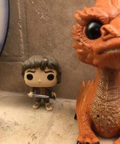 POP! Movies: Lord of The Rings/Hobbit - Frodo Baggins (Styles May Vary) Standard 29 71dVfbz7F4L