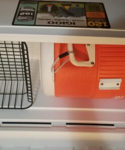 Igloo Polar 120 Qt. Cooler White 29 71dXGCWY09L