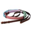 Kincade Pastel Rainbow Reins 5/8"x54" Multi Pastel 49 71dXScSCRsL