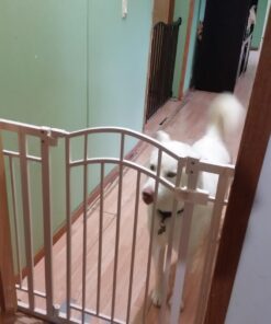 Summer Infant Multi-Use Decorative Extra Tall Safety Pet and Baby Gate,28.5'-48' Wide, 36' Tall,Pressure or Hardware Mounted, Install on Wall or Banister in Doorway or Stairway,Auto Close Door -Beige 36" Tall, 28.5 - 48.0" Wide Beige 69 71dZT3L5JiL