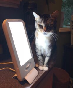 Verilux® HappyLight® Full-Size - UV-Free Therapy Lamp, Bright White Light with 10,000 Lux, Adjustable Brightness, 2 Interchangeable Lenses, Detachable Stand, and Wall Mountable 40 71dZo5HvUfL