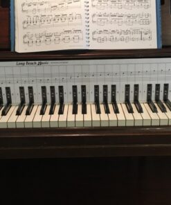 Practice Keyboard & Note Chart for Behind the Piano Keys 24 71daOKSBJ0L