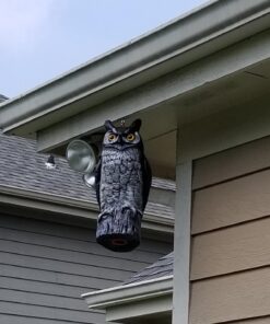 Dalen Fake Owl Decoy to Scare Birds Away from Gardens, Rooftops, and Patios - Scarecrow Provides Chemical-Free Pest Control - Safe and Humane, 16" Great Horned Owl 43 71dbylFMKZL