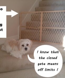 Evenflo Position and Lock Baby Gate, Pressure-Mounted, Tan 42 71dcs5yCwLL