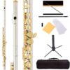 Mendini By Cecilio Flutes - Closed Hole C Flute For Beginners, 16-Key Flute with a Case, Stand, Lesson Book, and Cleaning Kit, Musical Instrument for Kids, Nickel with Gold Keys 50 71dgb7DhrL