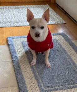 PEDIGREE DENTASTIX Toy/Small Dog Dental Treats Original Flavor Dental Bones, 13.97 oz. Pack (58 Treats) Chicken 58 Count (Pack of 1) 22 71dhvi7o 9L