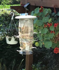 More Birds Abundance Bird Feeder, Combination Mixed Seed and Thistle, 6 Feeding Ports, 3.5 lb Seed Capacity Medium 20 71dkB1vAcWL