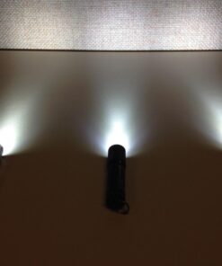 OLIGHT 90 Lumens i3E EOS PMMA TIR Lens AAA Flashlight Compact Keychain Flashlight EDC Flashlight for Night, Camping(Black) Black 45 71dkRBxi6iL