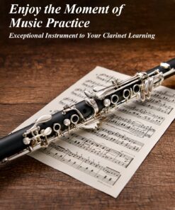 Eastar B Flat Clarinet for Intermediate Beginners, Upgraded Ebonite Bb Clarinet Silver-plated with 2 Barrels, 4C Mouthpiece, Hard Case, Cleaning Kit, ECL-400 Silver keys, Commander style 17 71dke1RPoL