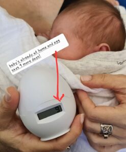 PregEgg Personal 9-Month Countdown 7 71dlRxYIwEL