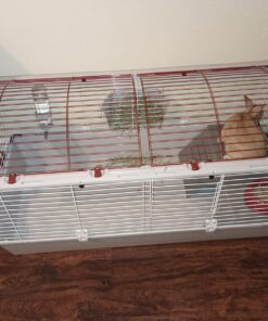 Living World - Deluxe Hybrid Habitat, X-Large - Rabbit, Guinea Pig, Chinchillas, and Small Animal Cage 46.9"L x 22.8"W x 24.0"H Standard Packaging 32 71dll4YWL7L