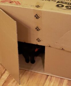 Go Pet Club Cat Tree, 50W x 26L x 72H, Beige 55 71dmfo5bswL