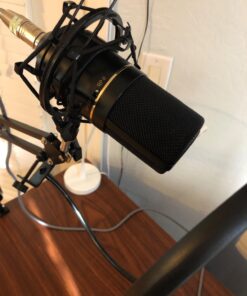 MXL 770 Multipurpose Large Diaphragm Condenser Microphone Black 49 71dnWkp2ikL