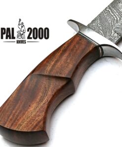 PAL 2000 KNIVES Handmade gladius forged - Damascus steel fixed blade - Hunting Viking - Knife With Leather Sheath (9291) 17 71doICNjatL
