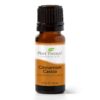Plant Therapy Cinnamon Cassia Essential Oil 10 mL (1/3 oz) 100% Pure, Undiluted, Therapeutic Grade 0.34 Fl Oz (Pack of 1) 55 71doNMpomZL 1