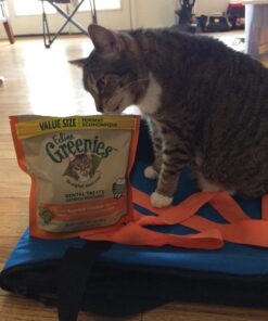 FELINE GREENIES Natural Dental Care Cat Treats Oven Roasted Chicken Flavor, 5.5 oz. Pack 34 71dobcvlAsL