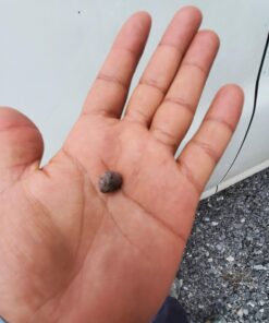 Dr. Scholl's Dual Action Freeze Away WART Remover, 8 Applications // Freeze Therapy + Powerful Fast Acting Salicylic Liquid to Remove Common and Plantar Warts, 0.33 Fl Oz, 1 Count 56 71dov2oCrL