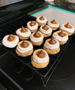 The Perfect Cookie: Your Ultimate Guide to Foolproof Cookies, Brownies & Bars (Perfect Baking Cookbooks) 44 71dpafwQX6L 1