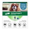 Advantage II Medium Dog Vet-Recommended Flea Treatment & Prevention | Dogs 11-20 lbs. | 6-Month Supply 6-Pack 21 71dsfndyWQL