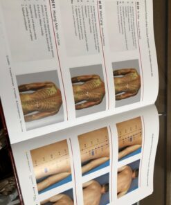 Pictorial Atlas of Acupuncture: An Illustrated Manual of Acupuncture Points 12 71duXXsppbL