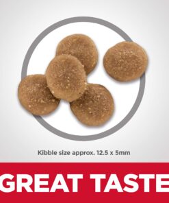 Hill's Science Diet Dry Cat Food, Adult, Sensitive Stomach & Skin, Chicken & Rice Recipe, 3.5 lb. Bag 3.5 Pound (Pack of 1) 26 71duYqdzXL