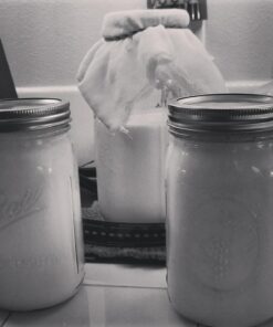 Live Milk Kefir Grains - Live Probiotic Culture Mr. and Mrs. Kefir Instructions 34 71dvGMKgfIL