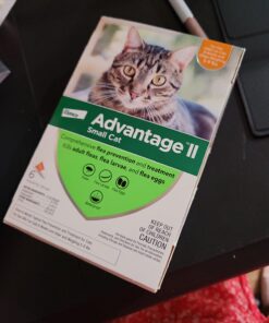 Advantage II Small Cat Vet-Recommended Flea Treatment & Prevention | Cats 5-9 lbs. | 6-Month Supply 6 Pack Small Cat only 31 71dvN2YycrL