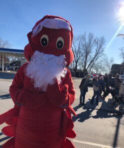 Rubie's Value Santa Beard And Wig Set One Size White 28 71dvhaXXPwL