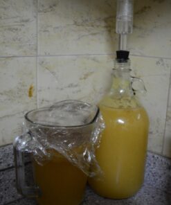 Alternative view of FastRack 3 Piece Airlock (Qty. 5), Clear (SY-6U6M-N283)