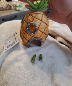 Penn-Plax Spongebob Squarepants Officially Licensed Aquarium Ornament – Spongebob’s Pineapple House – Medium 5.25" Pineapple House 28 71dx3ynSpRL