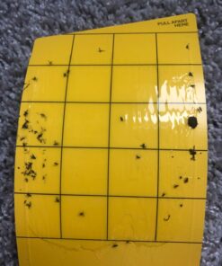 Yellow Sticky Aphid Whitefly Trap Pack of 15 35 71e0TGvyPIL
