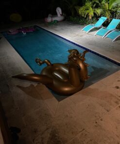 Luxy Float Inflatable Pool Float, Large Water Pool Toys for Adults and Family, Swimming Pool Floats for Party Fun Dragon 41 71e2ykcR0xL