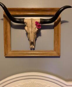 Long Horn Cow Skull Wall Hanging Longhorn Steer 30 71e4TnbrXlL